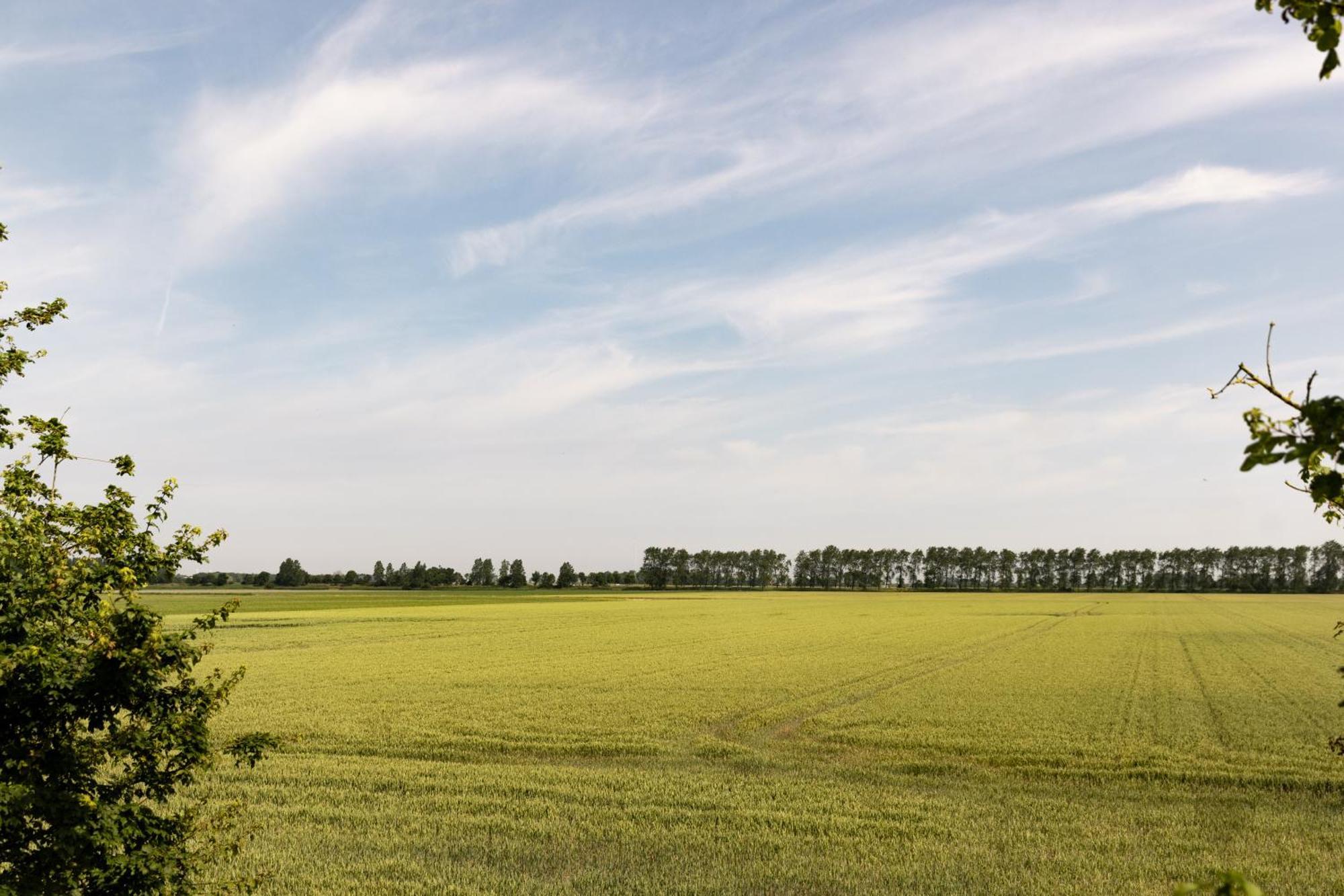 Hof Van Maldegem Кортгене Екстер'єр фото